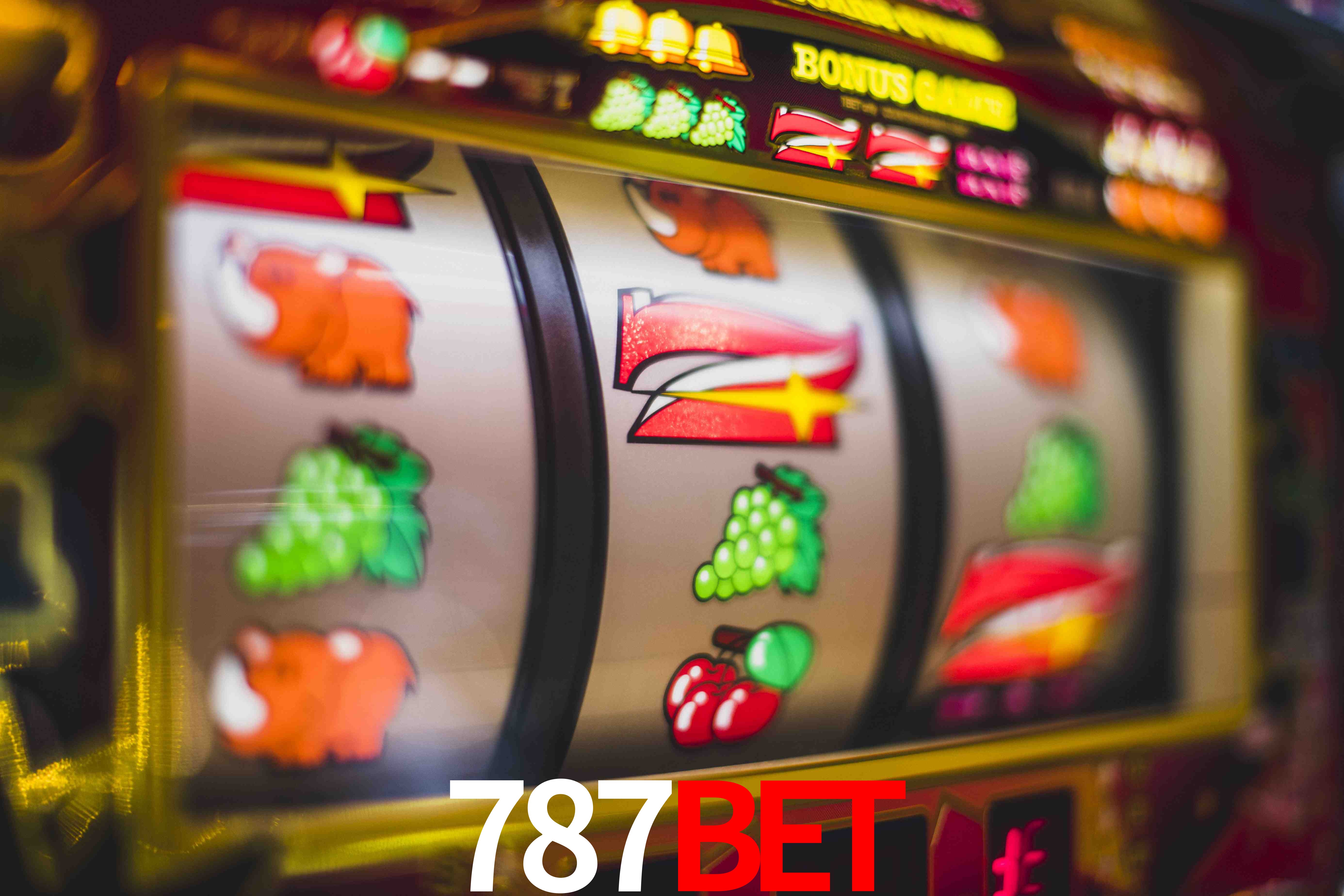 Crash Games Statistics 787bet